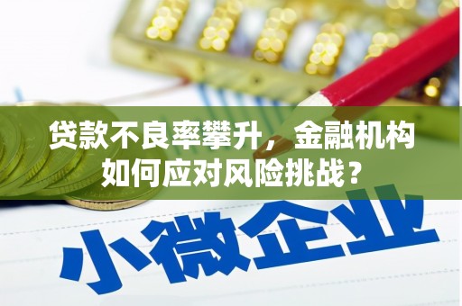 南华贷款不良率攀升，金融机构如何应对风险挑战？