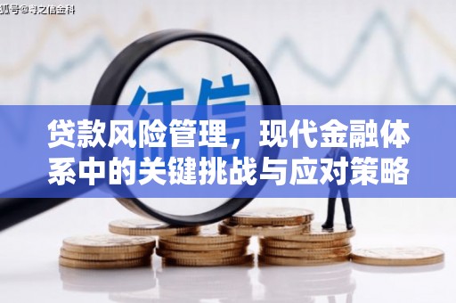 南华贷款风险管理，现代金融体系中的关键挑战与应对策略