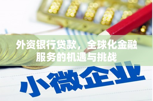 南华外资银行贷款，全球化金融服务的机遇与挑战