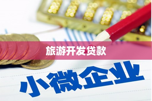 南华旅游开发贷款