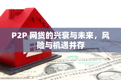 南华P2P 网贷的兴衰与未来，风险与机遇并存