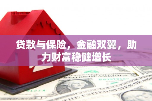 南华贷款与保险，金融双翼，助力财富稳健增长