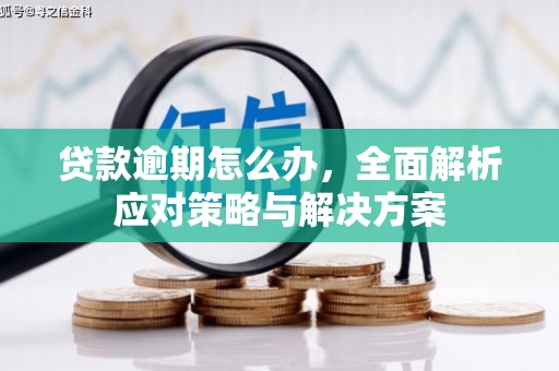 南华贷款逾期怎么办，全面解析应对策略与解决方案