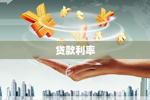 南华贷款利率