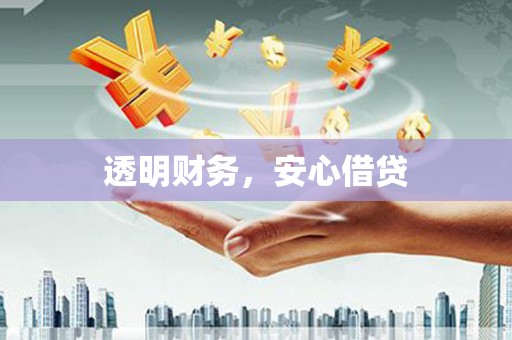 南华透明财务，安心借贷