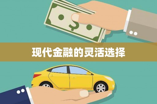 南华现代金融的灵活选择