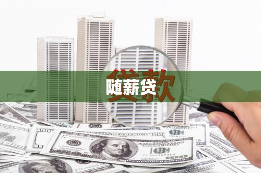 南华随薪贷