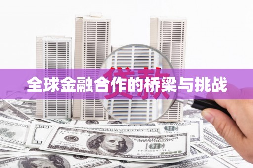 南华全球金融合作的桥梁与挑战