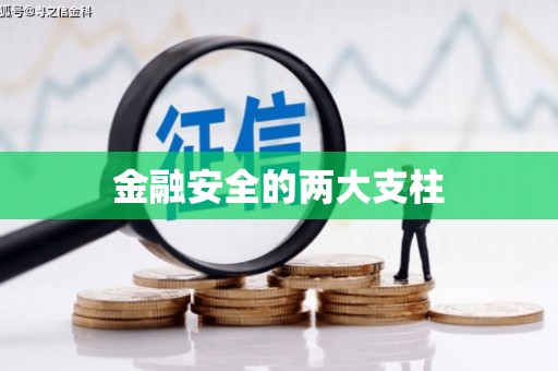 南华金融安全的两大支柱
