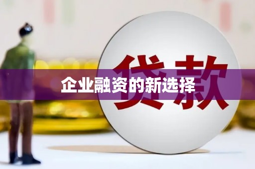 南华企业融资的新选择